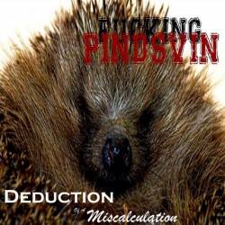Deduction Of A Miscalculation : Fucking Pindsvin